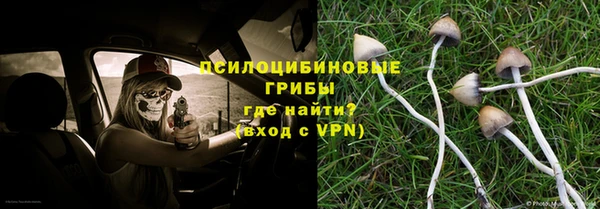 ешки Абинск
