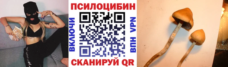 Галлюциногенные грибы Psilocybine cubensis  Тайга 