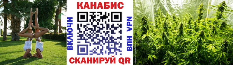 как найти закладки  Тайга  KRAKEN зеркало  Бошки марихуана VHQ 